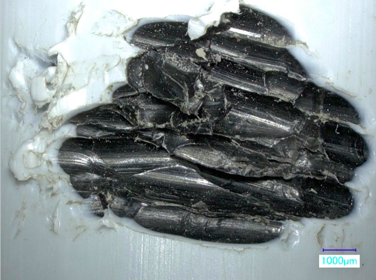 Chew Marks Up Close Safe Inc.