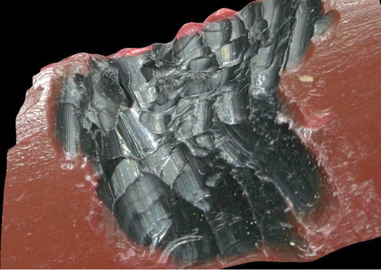 Chew marks from Norwegian Rat that Caused a Water Escape from PEX tube